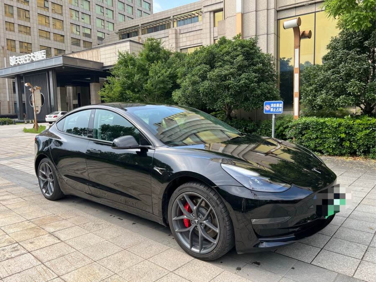 特斯拉 Model 3  2022款 Performance高性能全輪驅動版圖片