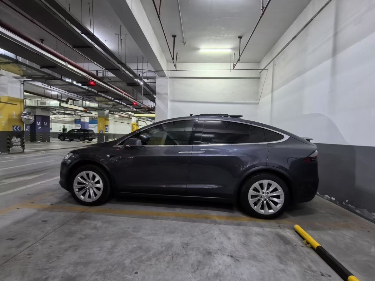 特斯拉 Model X  2019款 長續(xù)航版圖片