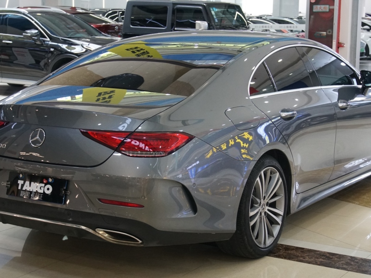 奔馳 奔馳CLS級  2020款 CLS 300 豪華型圖片