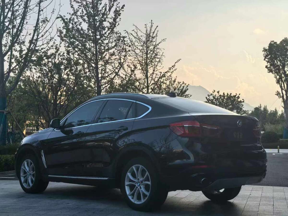 寶馬 寶馬X6  2015款 xDrive35i 領(lǐng)先型圖片