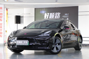 Model 3 特斯拉 标准续航后驱升级版