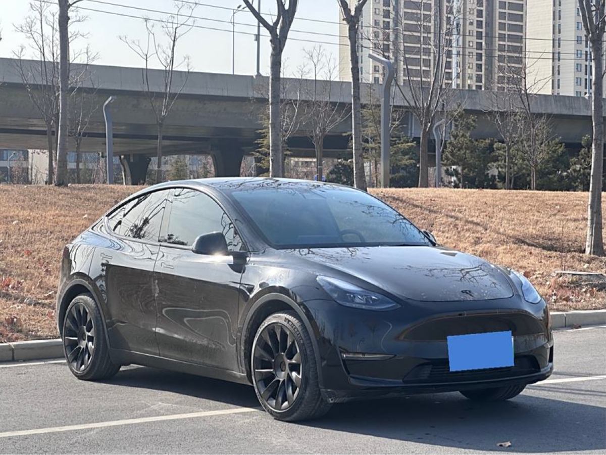 特斯拉 Model 3  2021款 改款 標(biāo)準(zhǔn)續(xù)航后驅(qū)升級(jí)版圖片