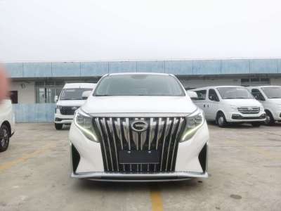 2022年9月 广汽传祺 M8 大师系列 390T 至尊版图片