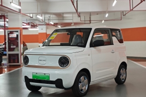 熊猫mini 吉利 200km 耐力熊