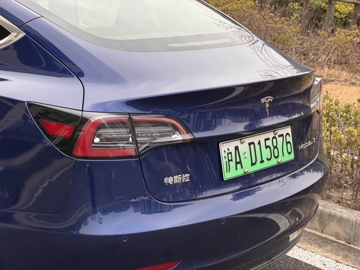 特斯拉 Model 3  2019款 標(biāo)準(zhǔn)續(xù)航后驅(qū)升級版圖片