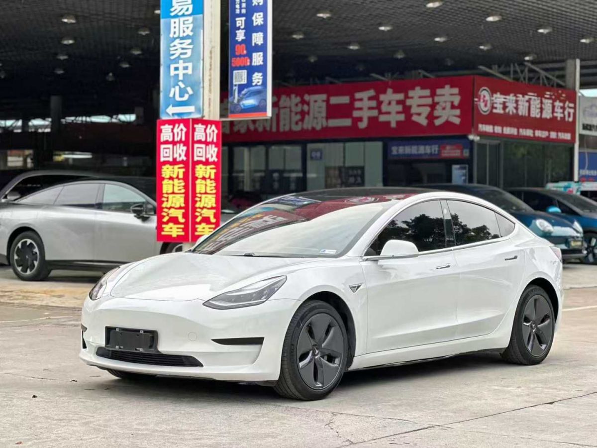 2021年1月特斯拉 Model Y  2021款 標(biāo)準(zhǔn)續(xù)航后驅(qū)版