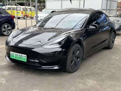 2021年02月 特斯拉 Model 3 標準續(xù)航后驅(qū)升級版圖片