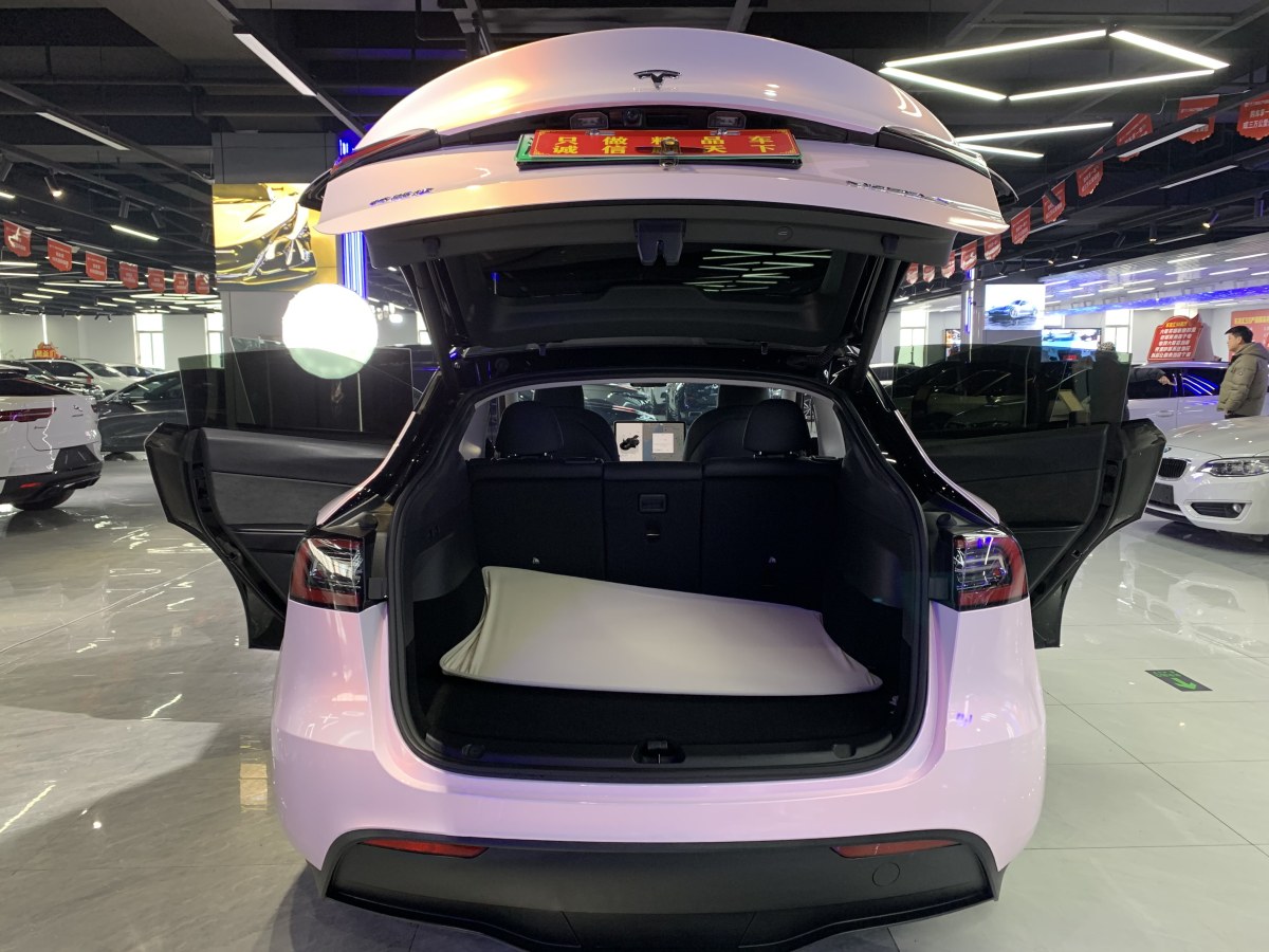 特斯拉 Model 3  2020款 改款 長續(xù)航后輪驅動版圖片