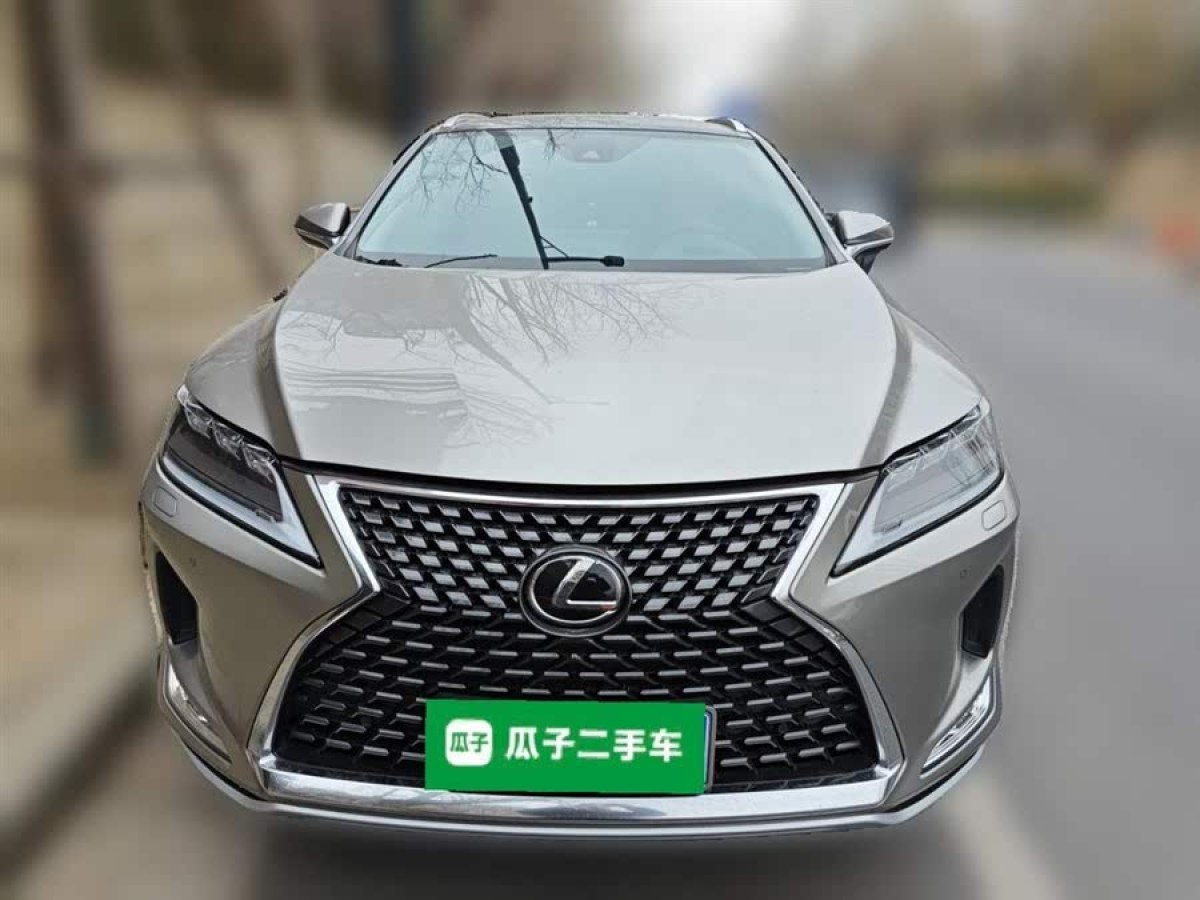 雷克薩斯 RX  2020款 300 四驅典雅版 國VI圖片