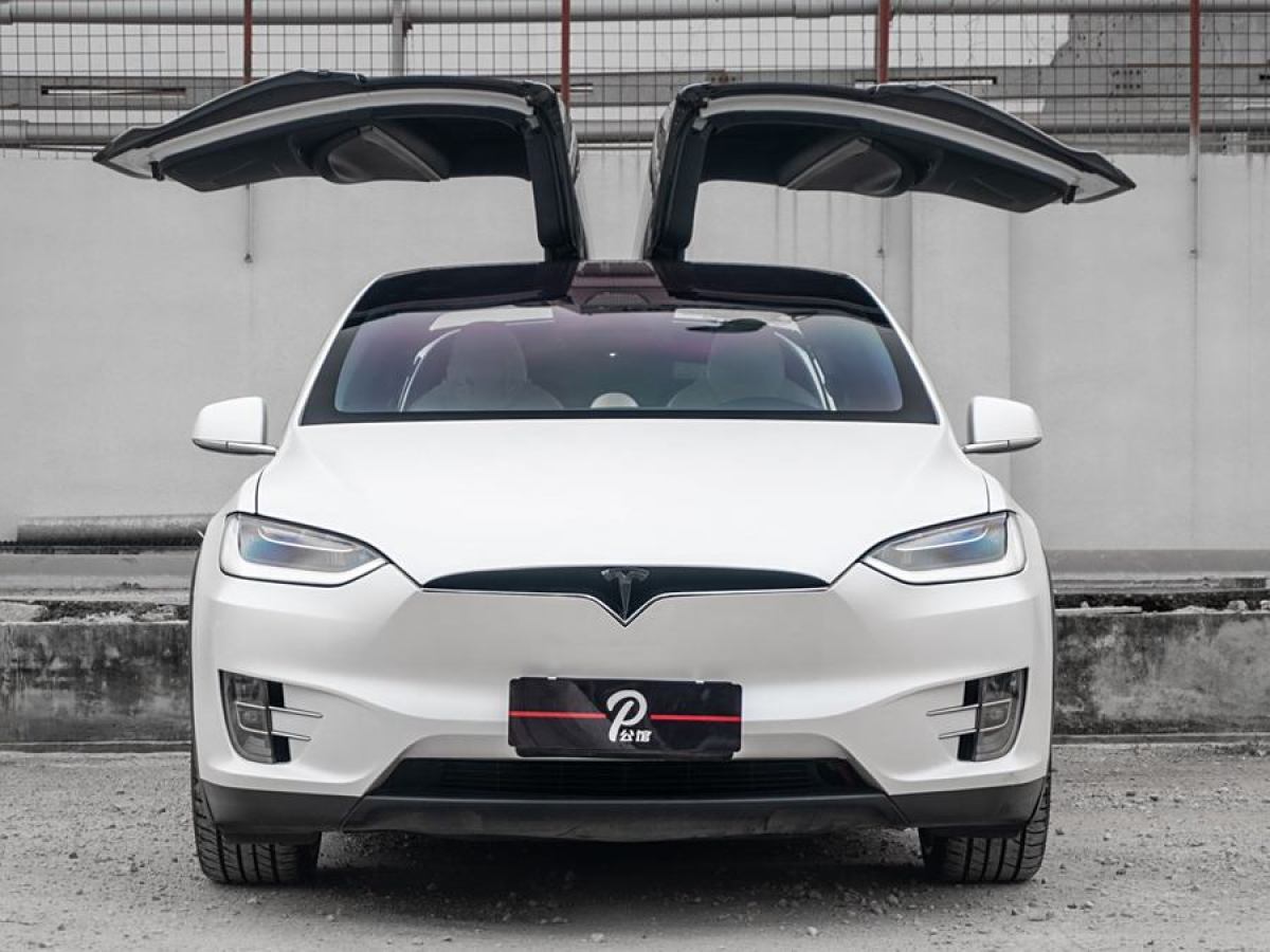 特斯拉 Model X  2019款 Performance 高性能版圖片