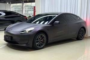 Model 3 特斯拉 改款 標準續(xù)航后驅升級版
