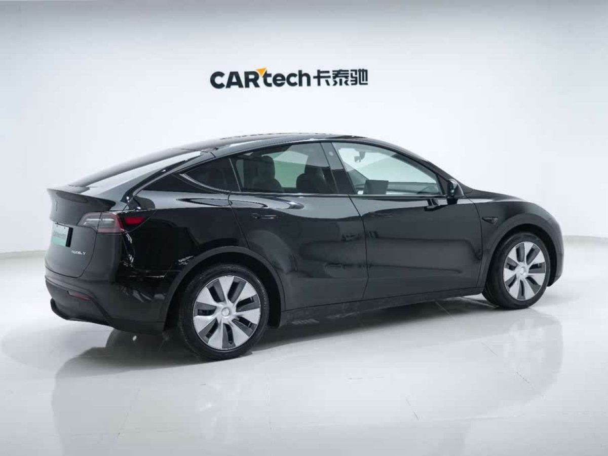 特斯拉 Model Y  2021款 標(biāo)準(zhǔn)續(xù)航后驅(qū)版圖片