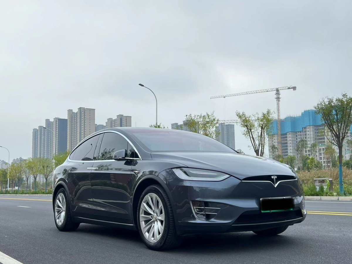 特斯拉 Model X  2020款 長續(xù)航升級版圖片