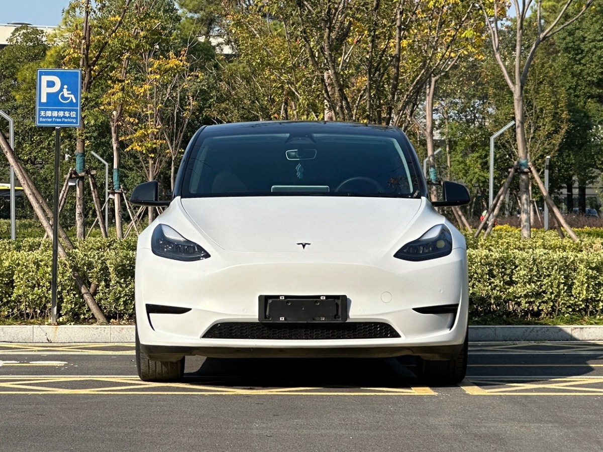 特斯拉 Model Y  2022款 后驅(qū)版圖片