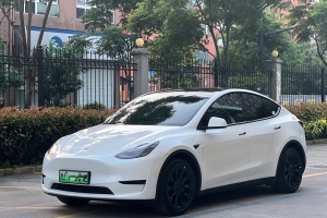 Model Y 特斯拉 后驅(qū)版