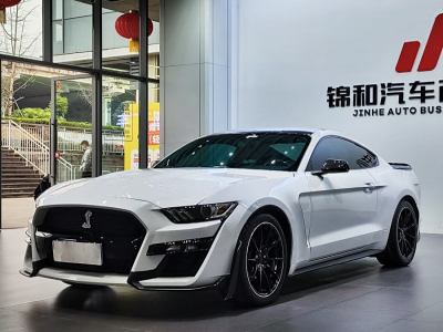 2016年12月 福特 Mustang(進(jìn)口) 2.3T 性能版圖片