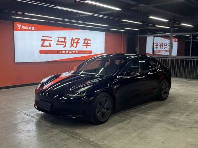 2020年4月 特斯拉 Model 3 改款 標(biāo)準(zhǔn)續(xù)航后驅(qū)升級版圖片