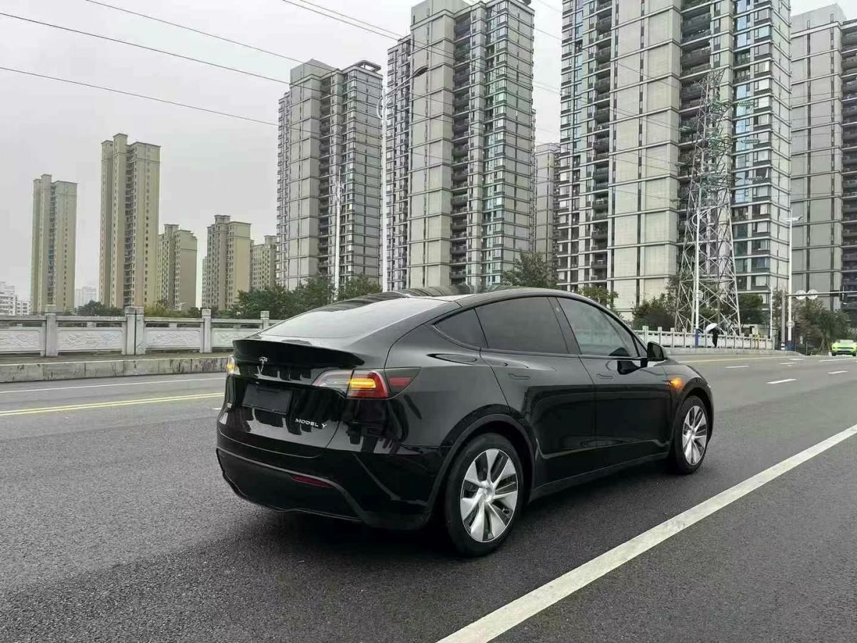 特斯拉 Model S  2023款 三電機(jī)全輪驅(qū)動(dòng) Plaid版圖片