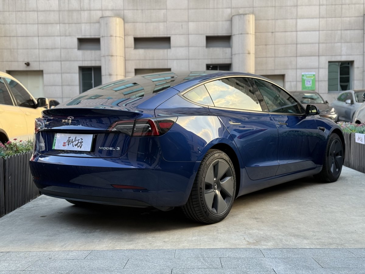 特斯拉 Model 3  2019款 標(biāo)準(zhǔn)續(xù)航后驅(qū)升級版圖片