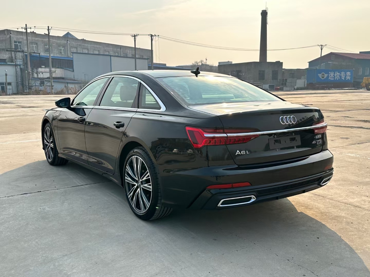 奧迪 奧迪A6L  2019款 45 TFSI quattro 臻選動感型圖片