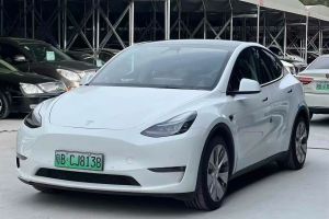 Model 3 特斯拉 标准续航后驱版