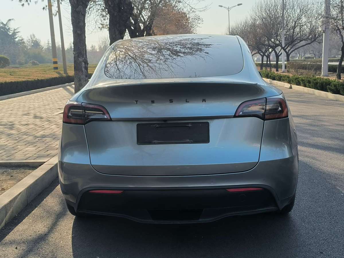 特斯拉 Model Y  2022款 長續(xù)航全輪驅(qū)動版圖片