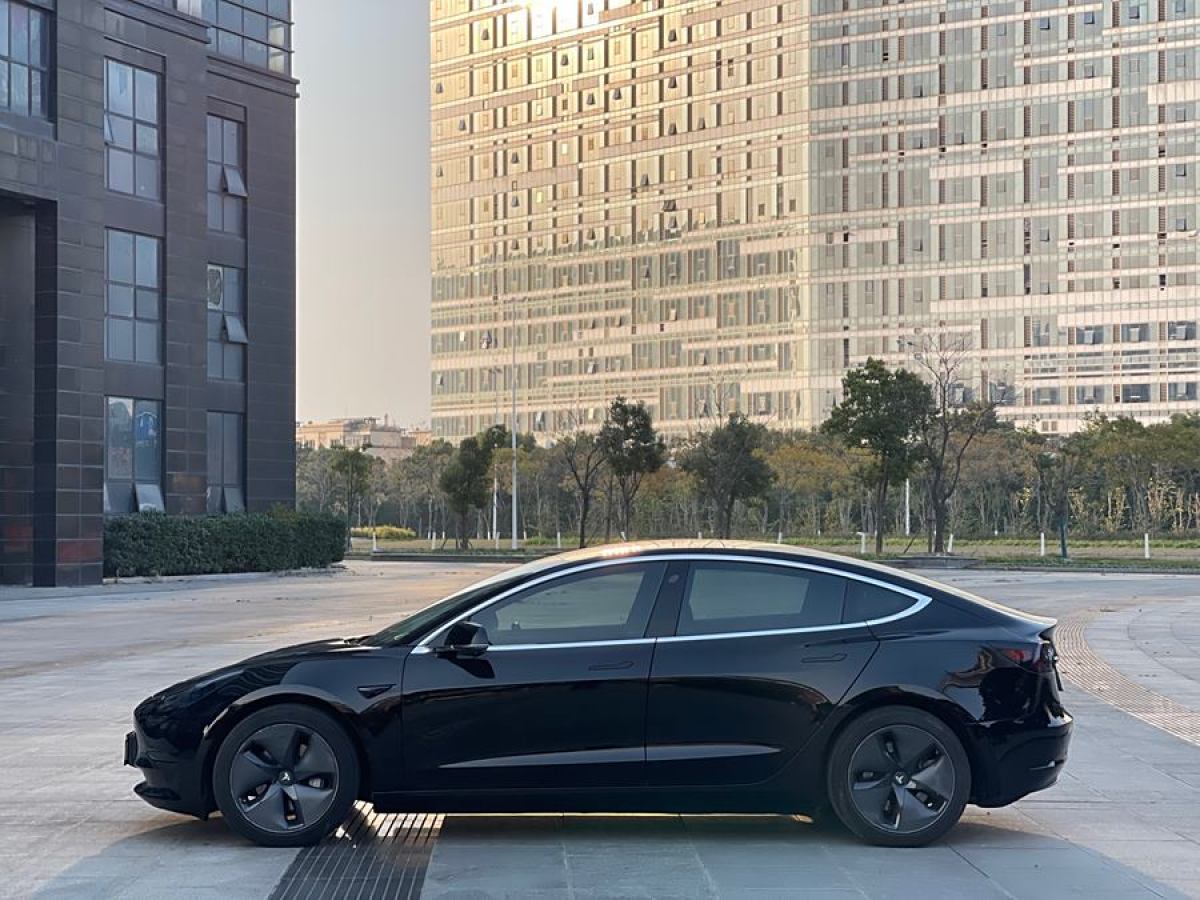 特斯拉 Model 3  2019款 長(zhǎng)續(xù)航后驅(qū)版圖片