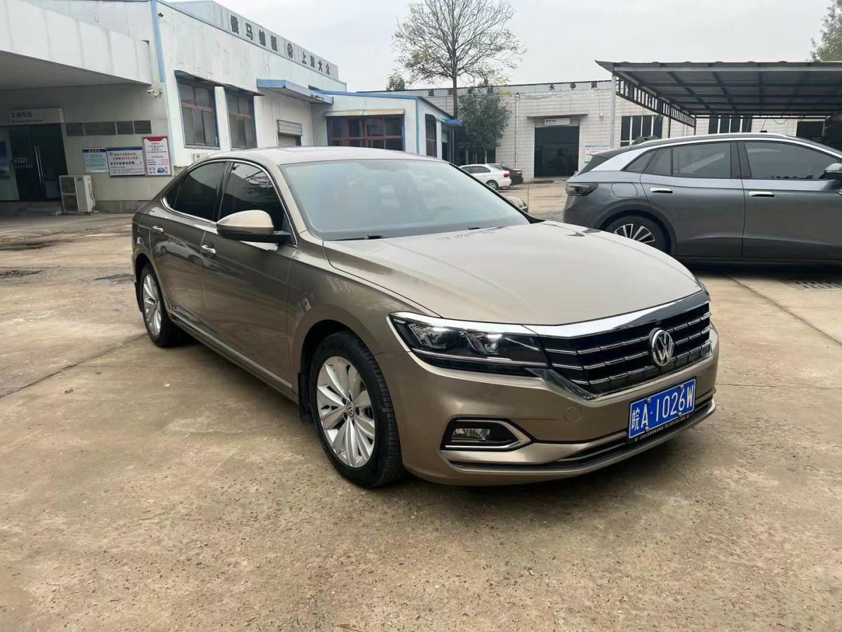 2019年1月大眾 帕薩特  2019款 280TSI 精英版 國(guó)VI