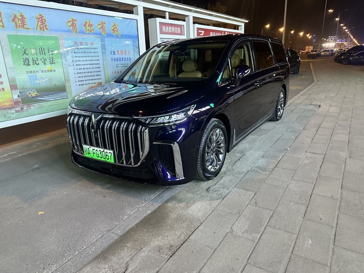 嵐圖 夢(mèng)想家  2024款 PHEV 超長(zhǎng)續(xù)航旗艦版圖片