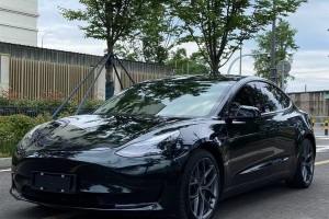 Model 3 特斯拉 改款 標(biāo)準(zhǔn)續(xù)航后驅(qū)升級(jí)版