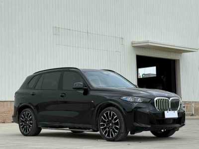 2024年6月 寶馬 寶馬X5 xDrive 40Li M運動曜夜套裝圖片