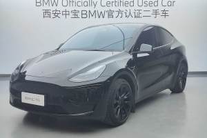 Model Y 特斯拉 后轮驱动版