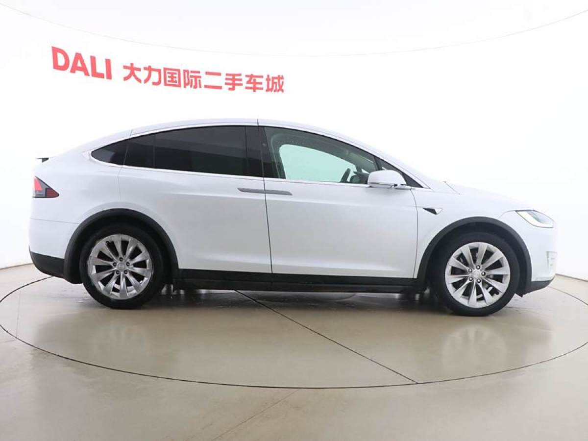 特斯拉 Model X  2017款 Model X 100D 長續(xù)航版圖片