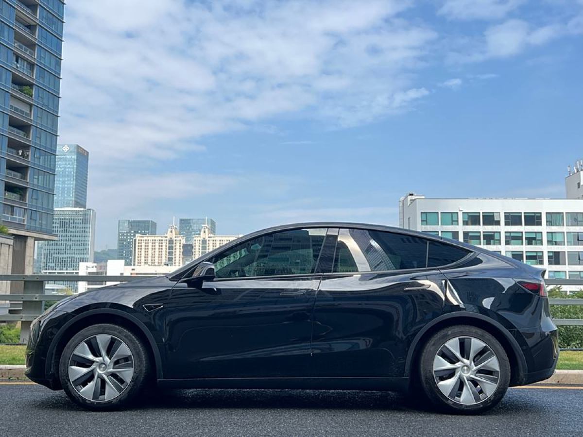 特斯拉 Model Y  2020款 改款 長續(xù)航后輪驅動版圖片