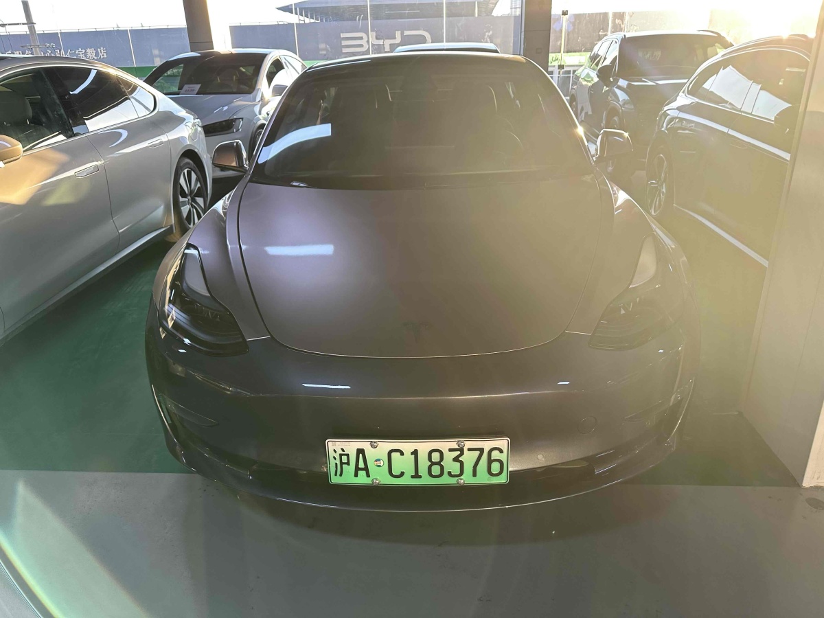 特斯拉 Model 3  2019款 Performance高性能全輪驅(qū)動(dòng)版圖片