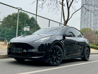 2021年11月 特斯拉 Model Y 標(biāo)準(zhǔn)續(xù)航后驅(qū)版圖片