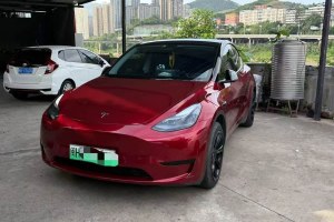 Model Y 特斯拉 后輪驅(qū)動版