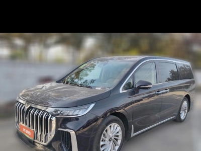 2024年6月 嵐圖 夢想家 PHEV 超長續(xù)航尊貴版圖片