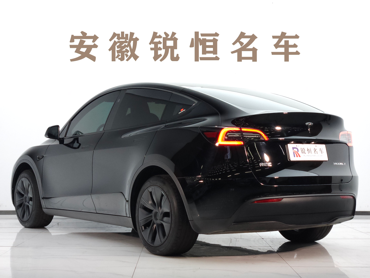 特斯拉 Model Y  2020款 改款 長(zhǎng)續(xù)航后輪驅(qū)動(dòng)版圖片