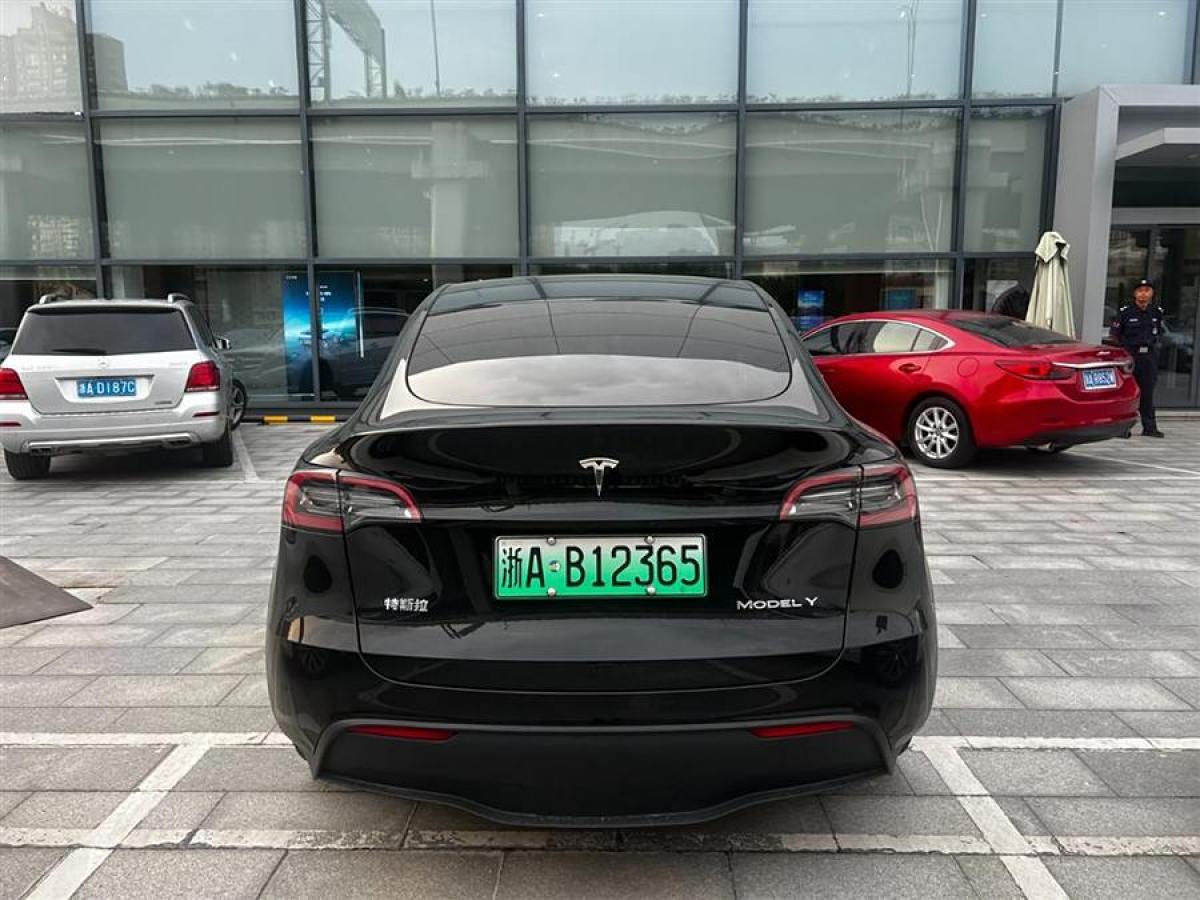 特斯拉 Model Y  2020款 改款 長續(xù)航后輪驅(qū)動版圖片