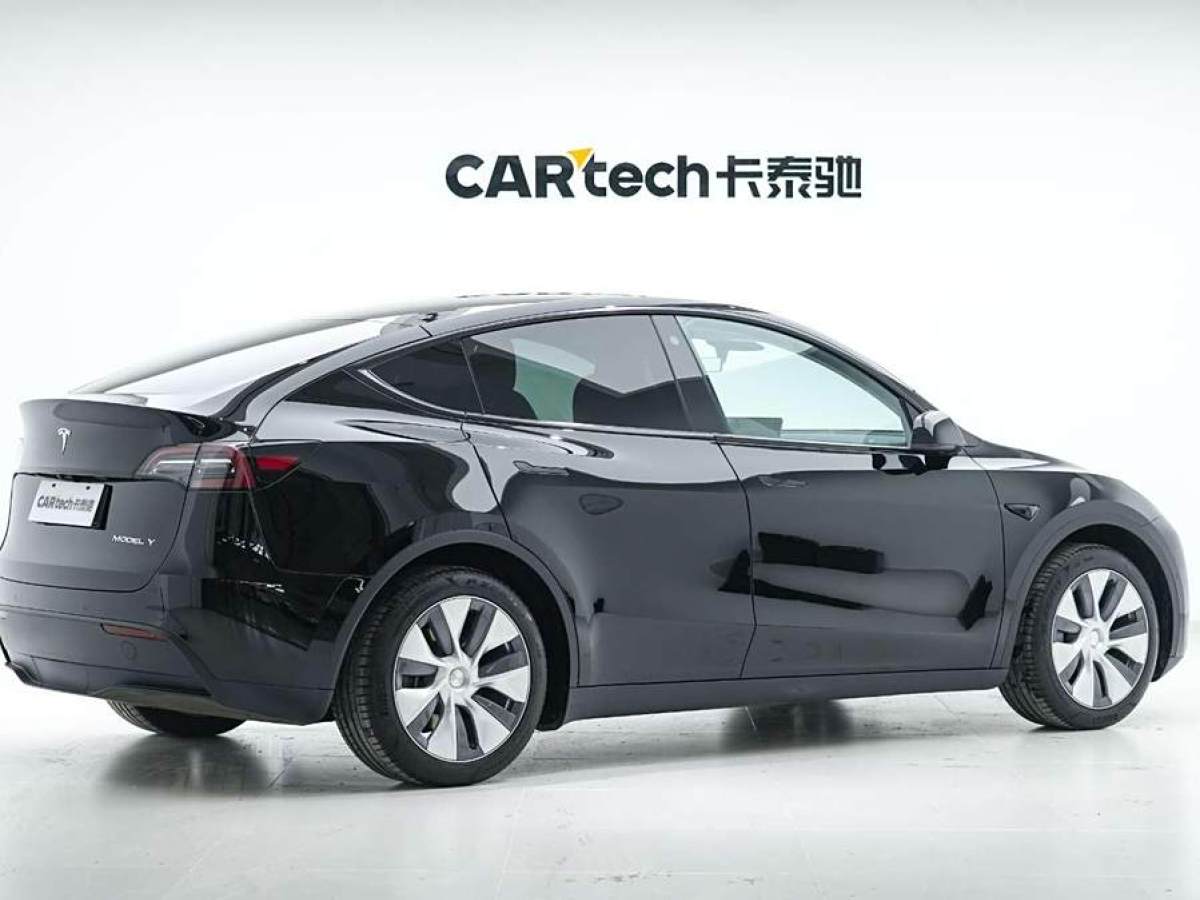 特斯拉 Model Y  2020款 改款 長續(xù)航后輪驅(qū)動版圖片