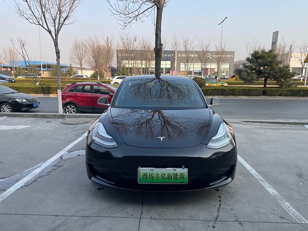 特斯拉 Model 3  2020款 改款 標(biāo)準(zhǔn)續(xù)航后驅(qū)升級版圖片