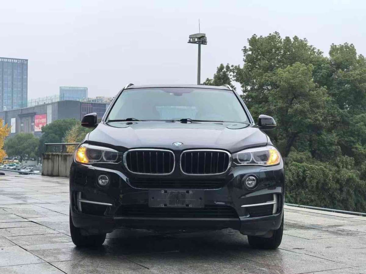 寶馬 寶馬X5  2014款 xDrive35i 領先型圖片