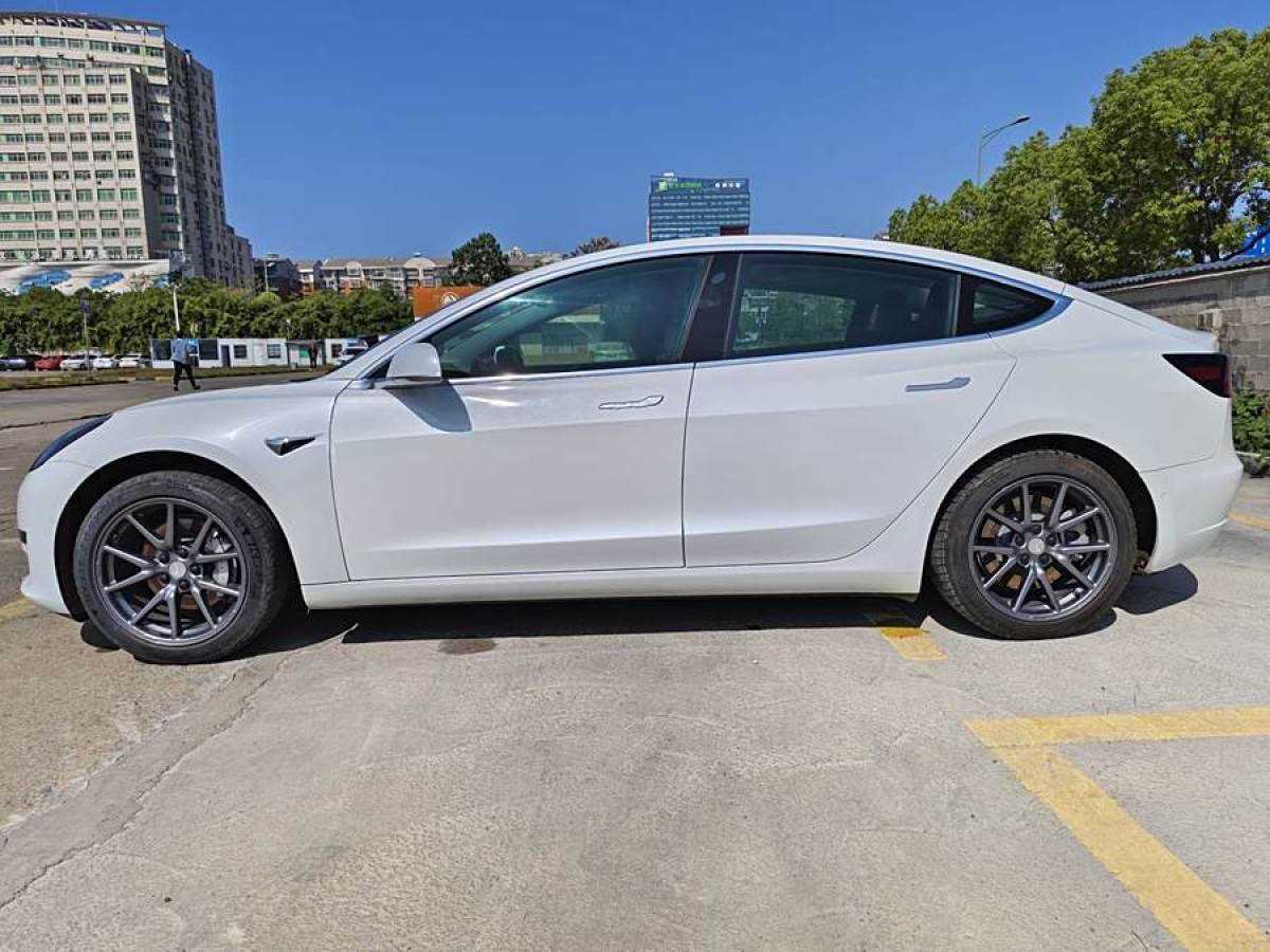 特斯拉 Model Y  2020款 改款 標(biāo)準(zhǔn)續(xù)航后驅(qū)升級(jí)版圖片