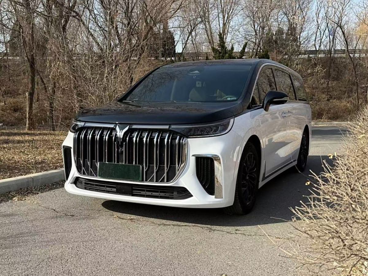 嵐圖 夢想家  2024款 PHEV 超長續(xù)航尊貴版圖片