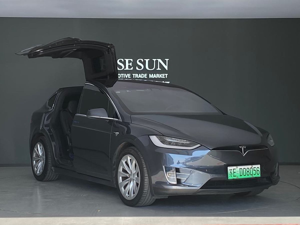 特斯拉 Model X  2016款 Model X 75D圖片