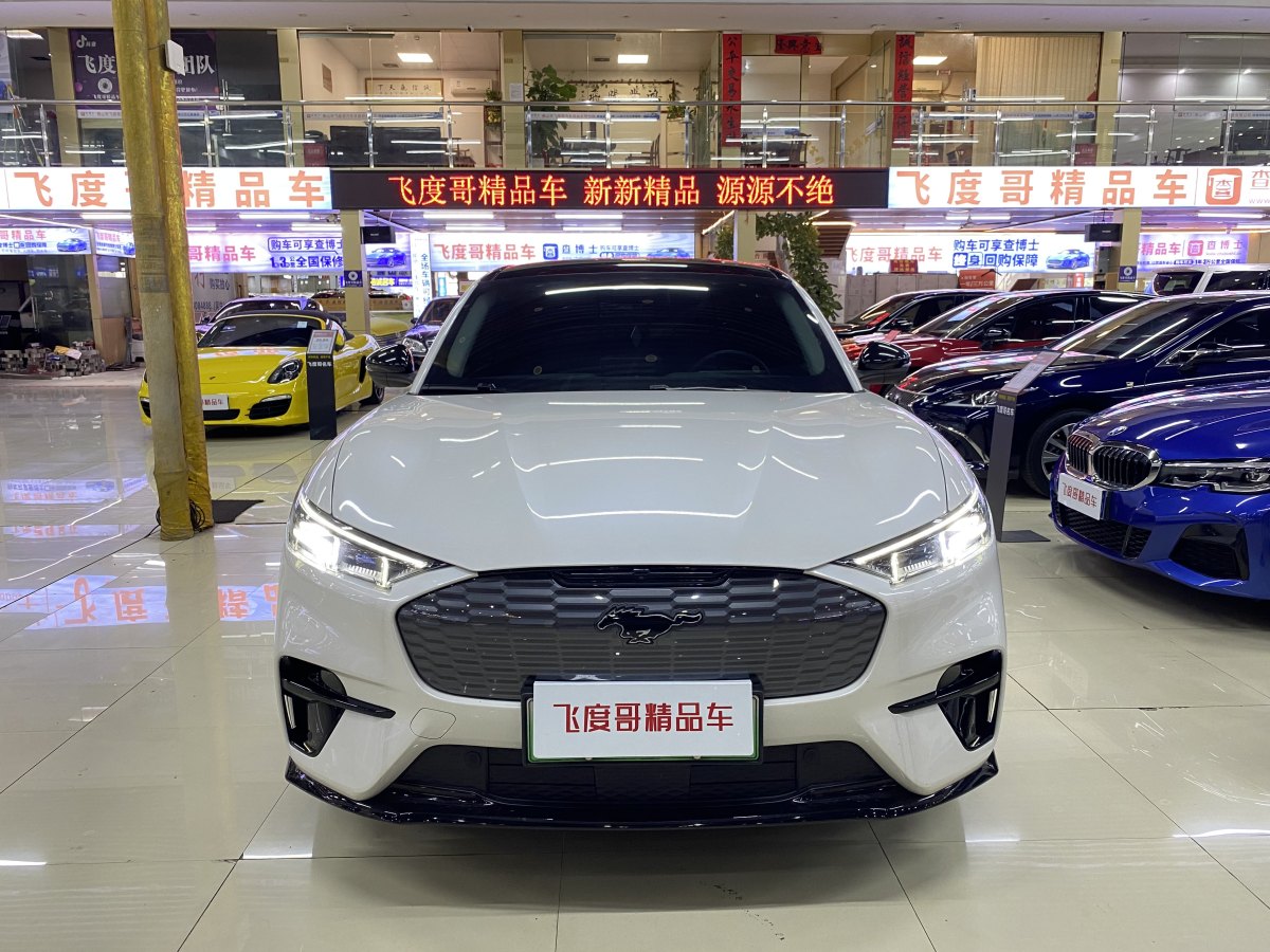 福特 Mustang Mach-E  2021款 長續(xù)航后驅(qū)版圖片