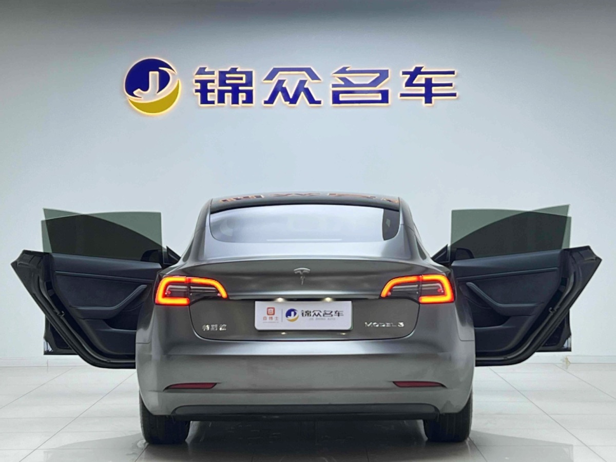 特斯拉 Model 3  2019款 Performance高性能全轮驱动版图片