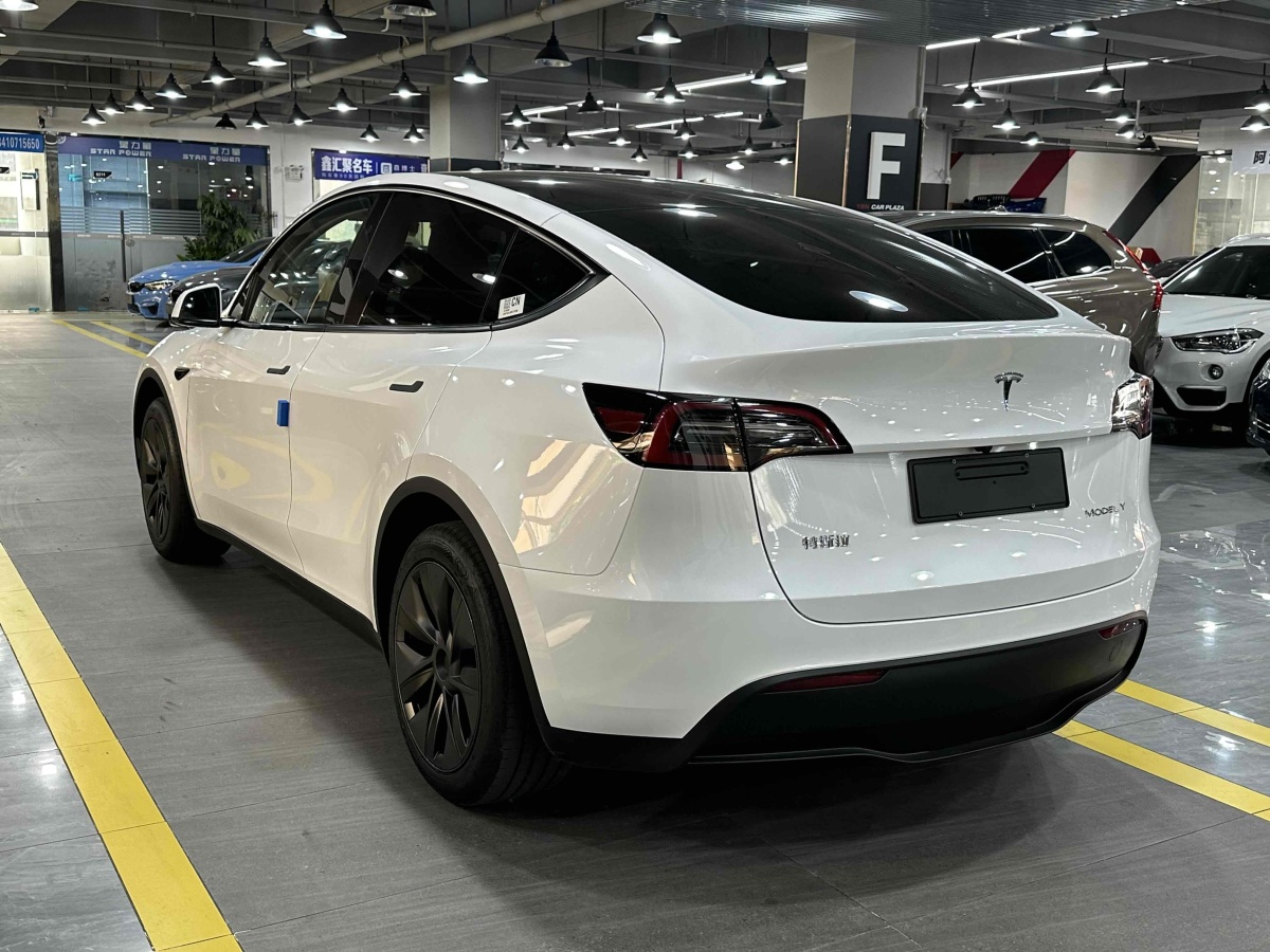 特斯拉 Model Y  2020款 改款 長續(xù)航后輪驅(qū)動版圖片