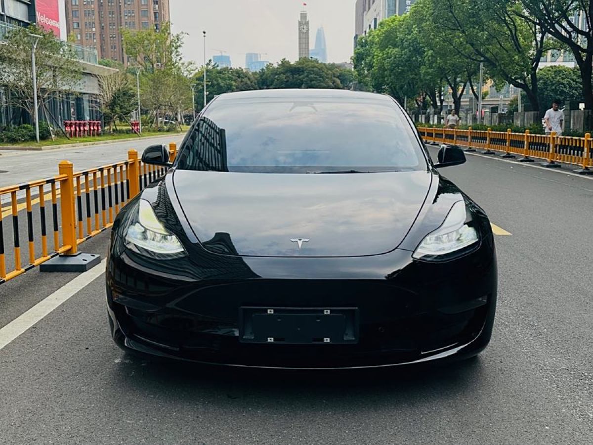 特斯拉 Model 3  2021款 Performance高性能全輪驅(qū)動(dòng)版圖片